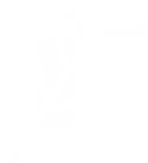 leaf-logo